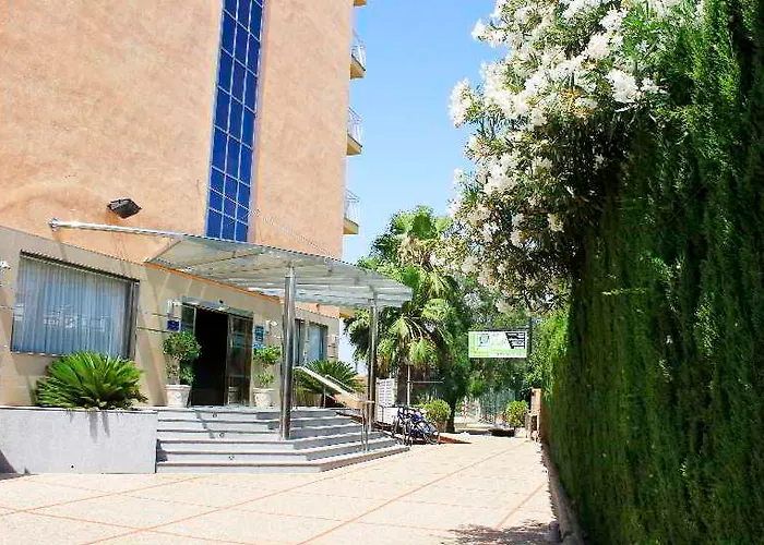 Don Miguel Playa Hotell