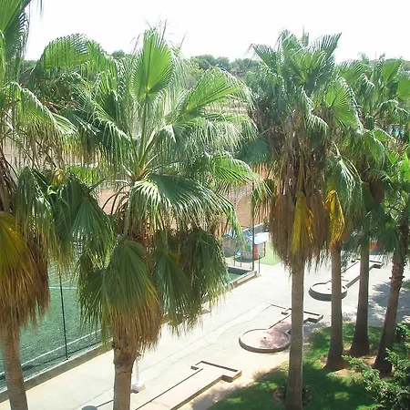 Don Miguel Playa Hotel Playa de Palma (Mallorca)