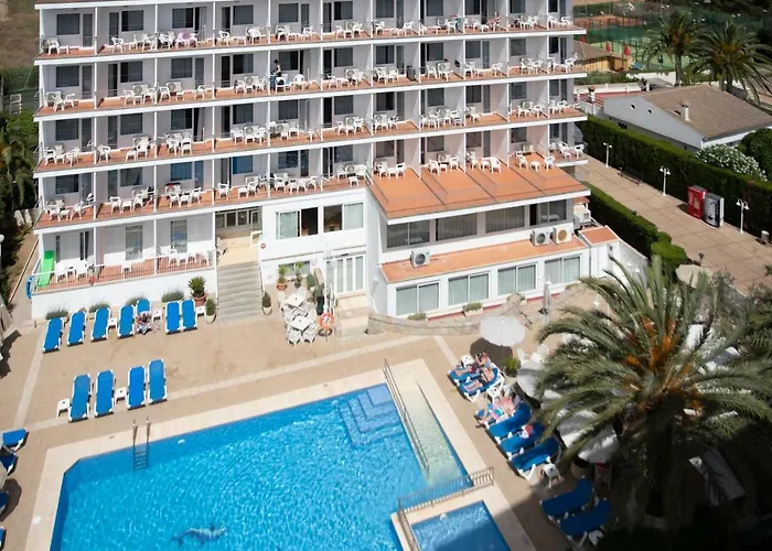 Don Miguel Playa Playa de Palma (Mallorca)